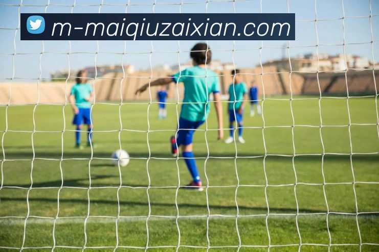 在线买球APP 高清赛事图