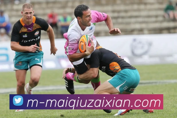 数据防护可视化